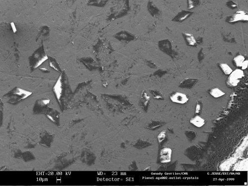 SEM microgaph of the cathode surface