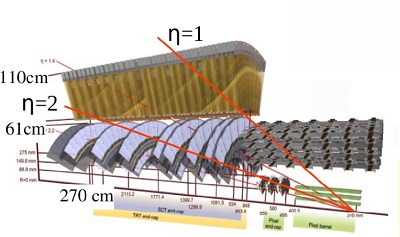 Transient radiation detector ATLAS TRT